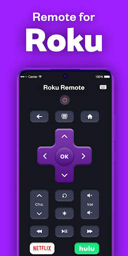 Roku TV Remote Control App screenshot 1