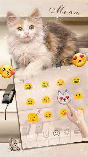 Cute Cat Live Wallpaper Theme screenshot 3