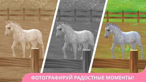 Star Stable Horses скриншот 5