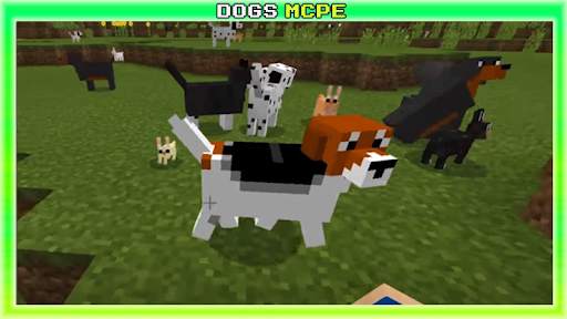 Dog Mod for Minecraft screenshot 2
