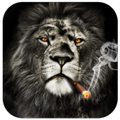 Cool Lion Lock Screen for You icon
