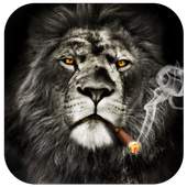 Cool Lion Lock Screen for You 9.3.0.2049