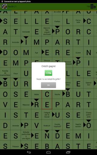 Mots croisés screenshot 11