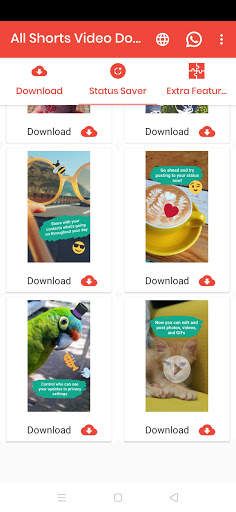 All Video Downloader - Video & Shorts Downloader screenshot 6