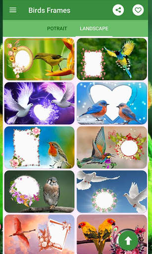 Birds Photo Frames स्क्रीनशॉट 6