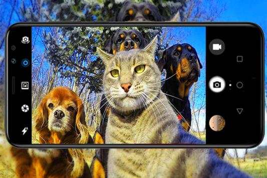Camera For Huawei 3 تصوير الشاشة