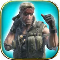 Real Strike Tiger Fighting HD