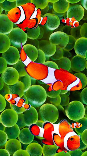 Cute Fish APUS Live Wallpaper screenshot 4