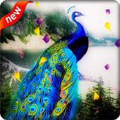 Peacock Live Wallpaper 8.0.0