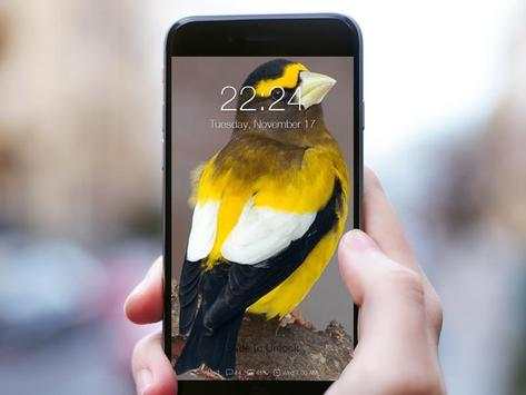 Birds Wallpaper HD Lockscreen screenshot 2