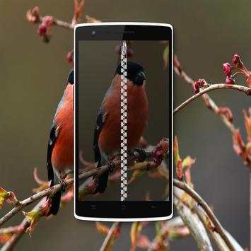 Bird Zipper Lock Screen screenshot 7