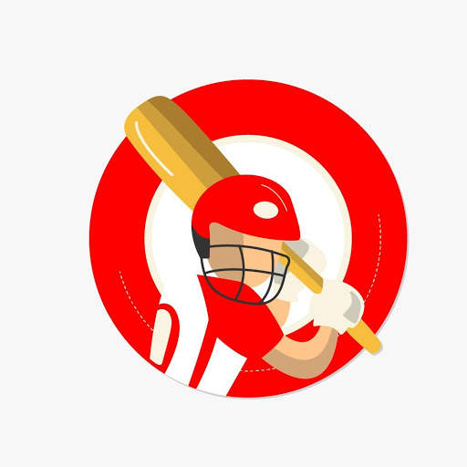 CRICKET MATCH WINNER PREDICTION screenshot 5