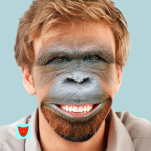 Face Swap 5.3.1
