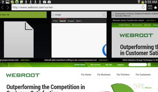 SecureWeb Browser screenshot 2
