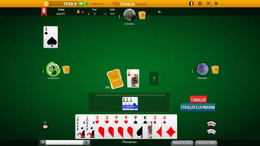 Rami Indien screenshot 3