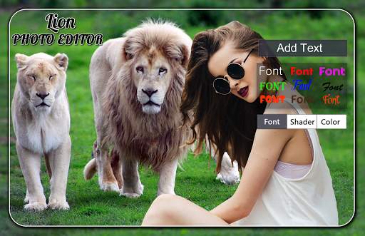 Lion Photo Editor screenshot 2