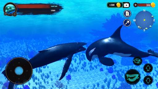The Humpback Whales screenshot 1