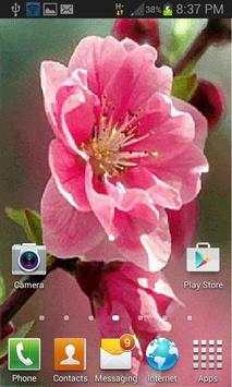 Pink Flower Swing LWP स्क्रीनशॉट 2