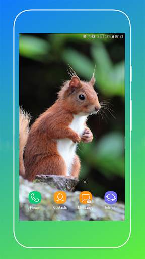 Squirrel Wallpaper screenshot 10