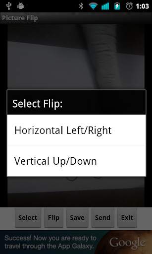 Picture Flip screenshot 2