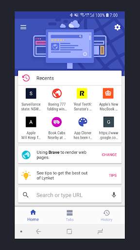 Lynket Browser (previously Chr screenshot 1