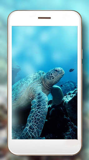 Turtles Sea Live Wallpaper screenshot 2