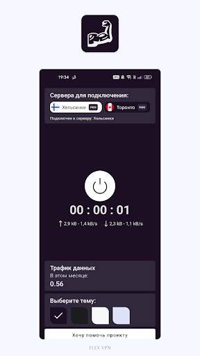 Flex VPN screenshot 2