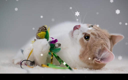 Xmas Cat Live Wallpaper screenshot 8
