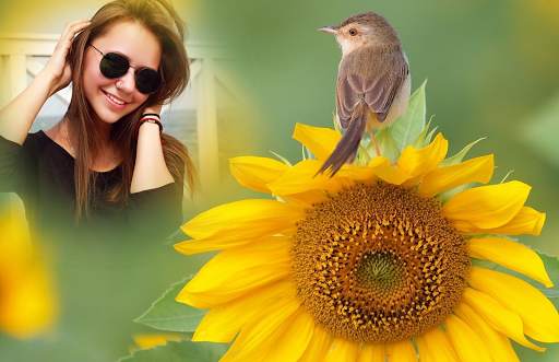 Sunflower Photo Frames 3 تصوير الشاشة