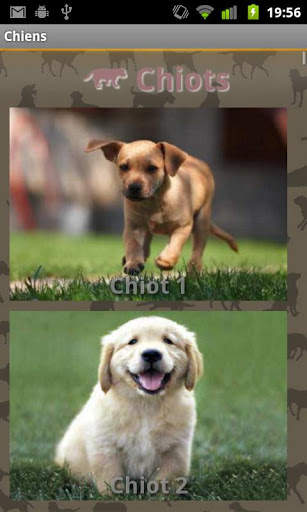 Dog Sounds 1 تصوير الشاشة