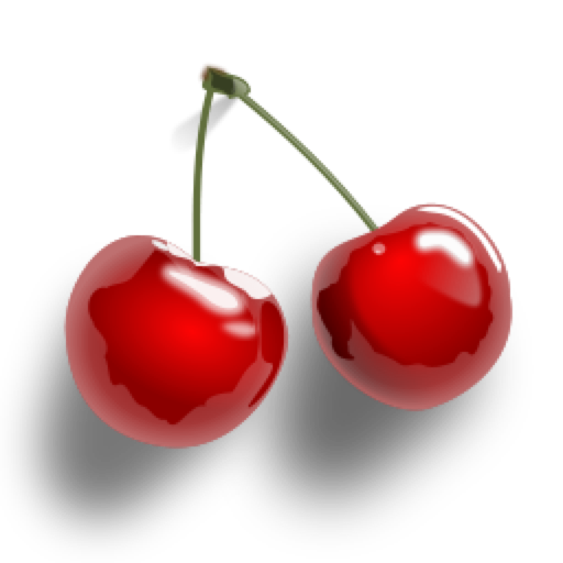 Photo sharing app icon