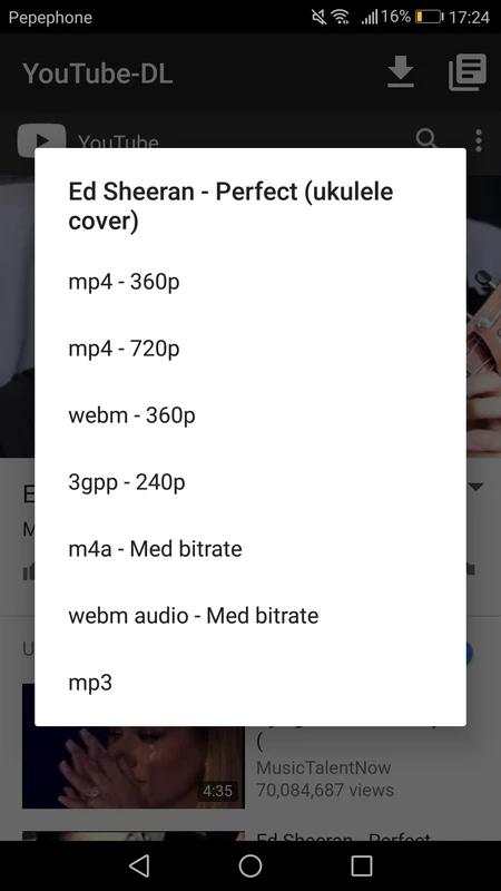 YouTube DL screenshot 4