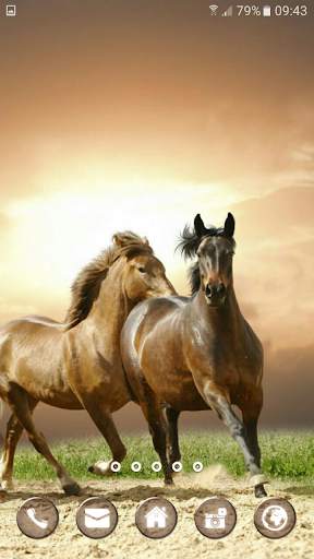 Savanna Animals Theme screenshot 7