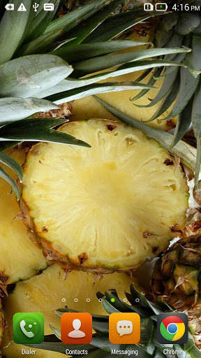 Pineapple Live Wallpaper screenshot 1