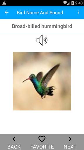 Bird Name And Sound screenshot 7