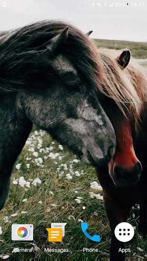Horses Video Live Wallpaper screenshot 7
