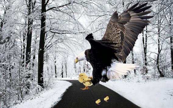 Wild Birds Shooting - Chicken Survival Forest Hunt screenshot 2