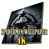 Best Spidermen Wallpaper 1.0.