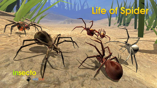 Life of Spider 14 تصوير الشاشة