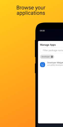 Developer Widget screenshot 3