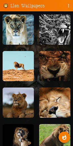 🦁 Lion Wallpaper : Wild King Backgrounds screenshot 2