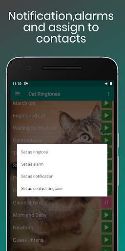 Cat Sounds Ringtones Purr screenshot 4
