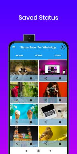 Status Saver For WhatsApp & WhatsApp Business screenshot 5