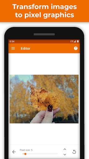 PhotoToPixels (Convert Photo To Pixel Art) screenshot 5