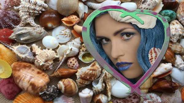 Seashells Photo Frames screenshot 8