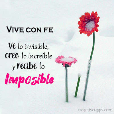Frases sabias - Frases de vida 23 تصوير الشاشة