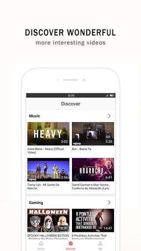 BeeVideoBox screenshot 3
