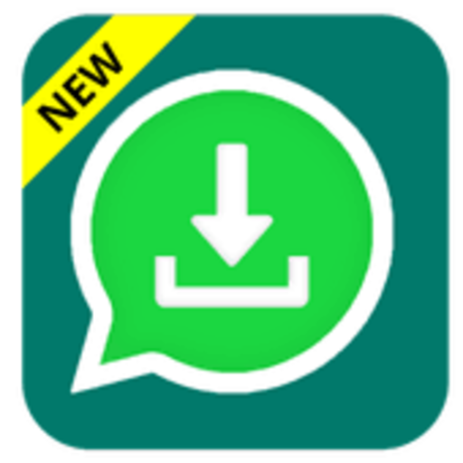status saver icon