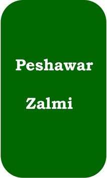 Pakistani Cricket League Schedule 2018 screenshot 7