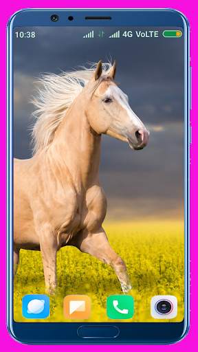 Horse Wallpaper screenshot 3